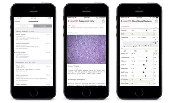 3VC+_phone-3-screens.png