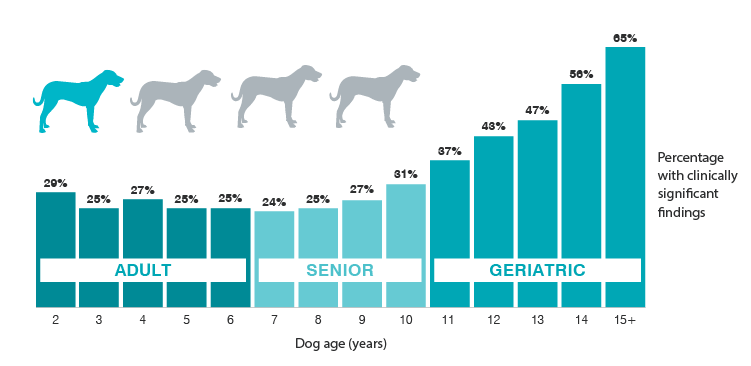 Prventive care profiles