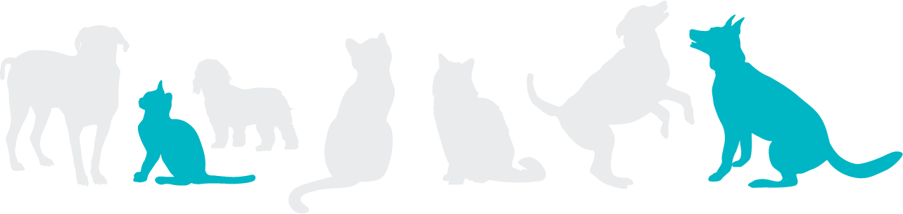 Prventive care profiles